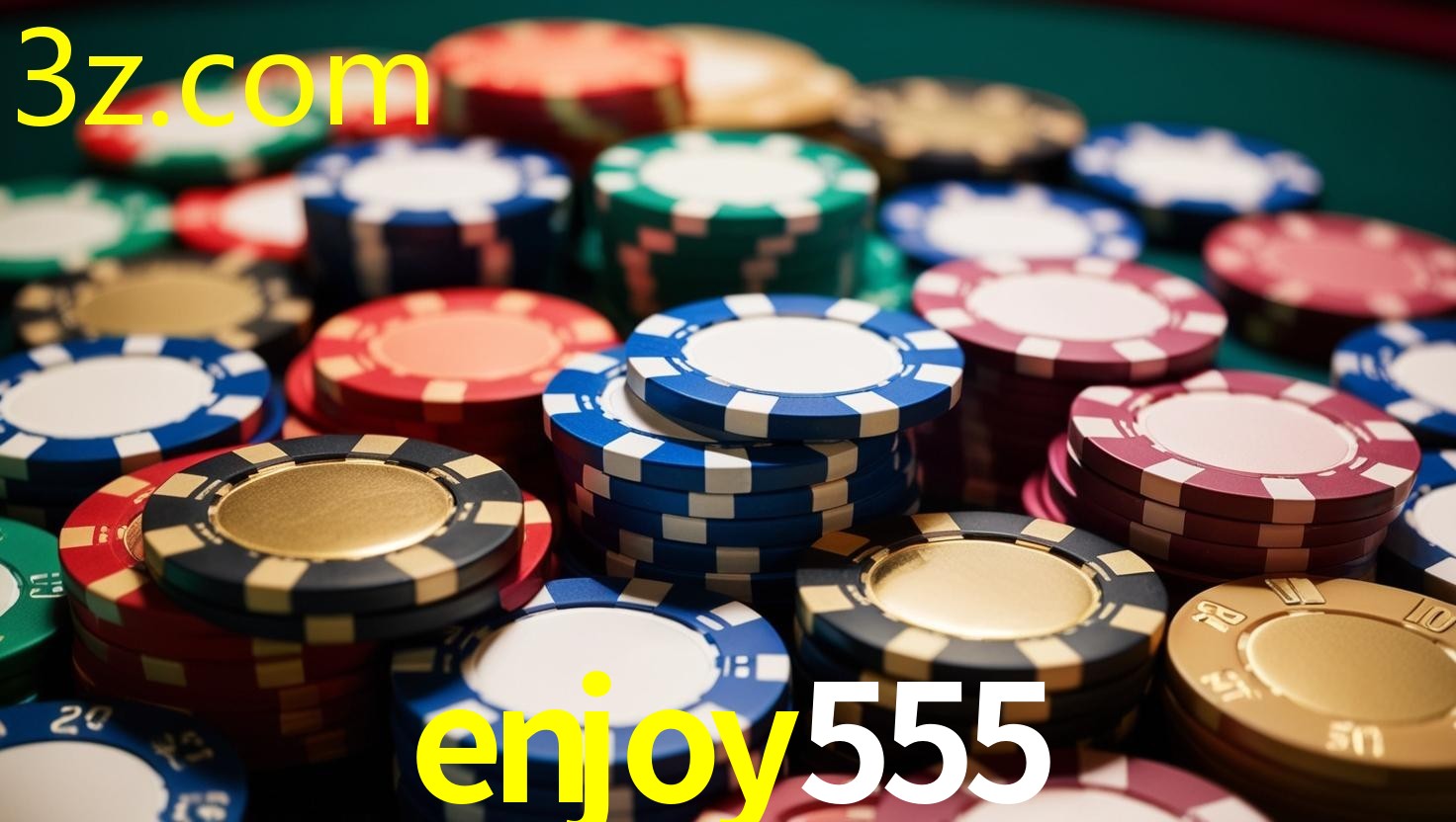 ENJOY555.COM