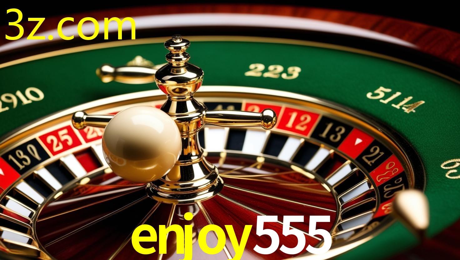 ENJOY555.COM