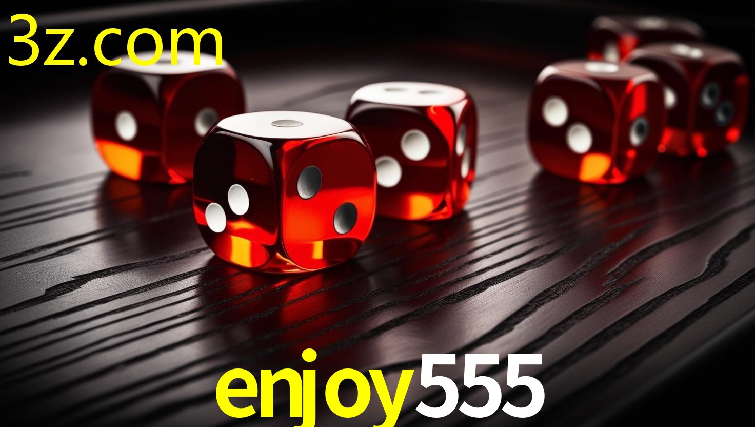 ENJOY555.COM